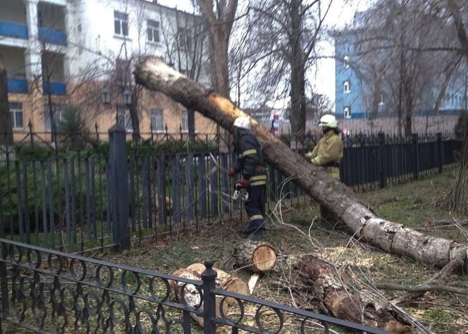 ����������� �� �������� �� ���������� ������ ����� ��������������