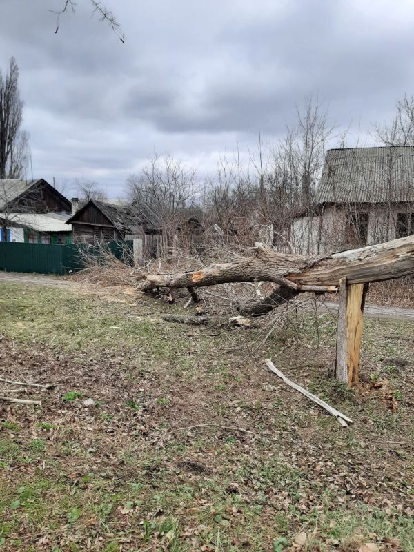 �������� ��������: ����������� �������� �����, ������� ������ � ���������� �� ���������� ������, ��������� �������