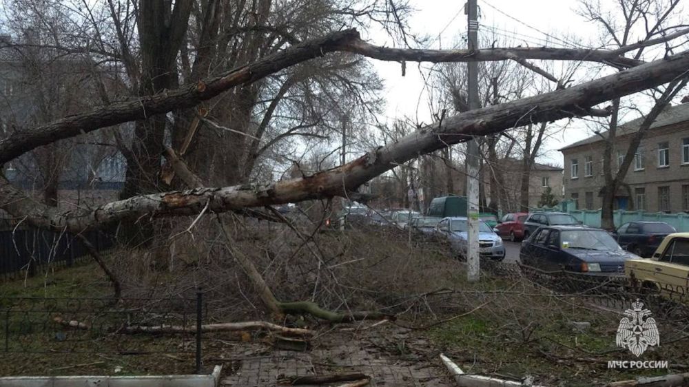 � ������������ ��� �� ��������� ����� ���������� ������� ��������� ��������� ���������� ��������� ����� �� ����������� ������������ ���������������� ����������, �������� � ������������ ���