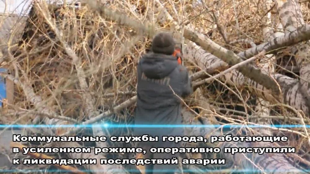 ������ �������: ���������� ��������� ����������� ������