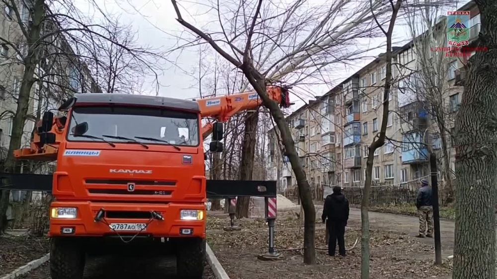 Евгений Морозов: А это дом 51 в микрорайоне №4. Здесь дерево упало на один из подъездов, угрожая безопасности жильцов