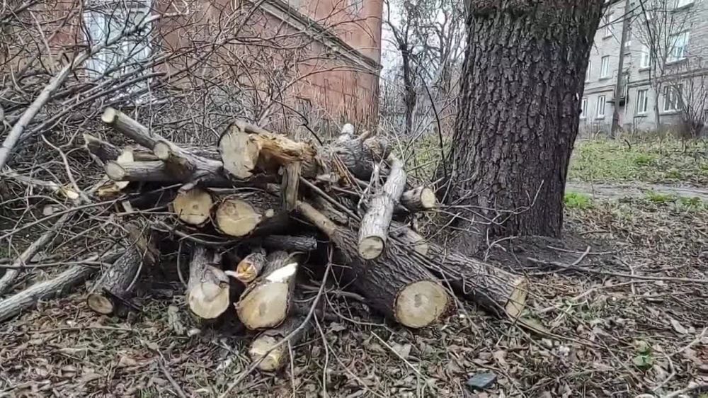 ����� ���������� ������ ������������� ����������� ��������� ����� ����� ������� ������� ����� � ���������� ����������� ������, 27.11.2023