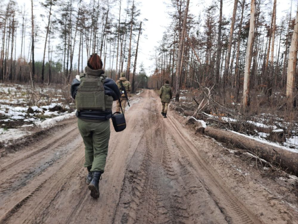 ���� ���������: �� ���� ���� � ������������ ��� ���������