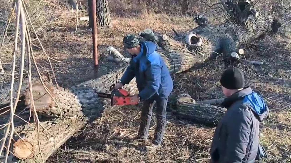 Сергей Колягин: Сегодня сотрудники Муниципальных унитарных предприятий "Комбинат коммунальных услуг города...