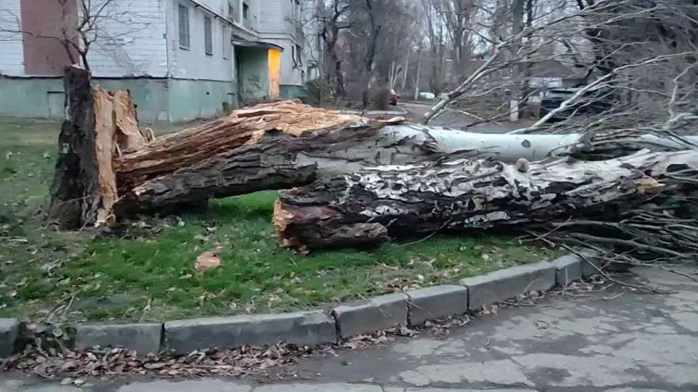 � ���������� ���������� ����� � ���� �� 27 ������ � ���������� ���������� ����� 40 �������� �������� �������������, �������...