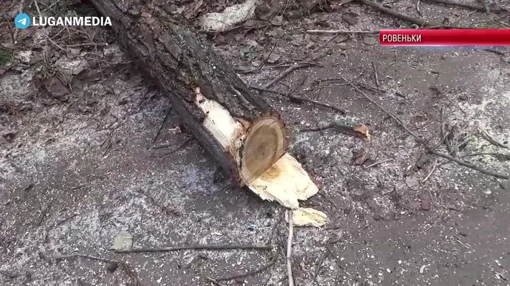 ������������ ������ ������ ���� ������ ��������� ����������� �������� � ���������