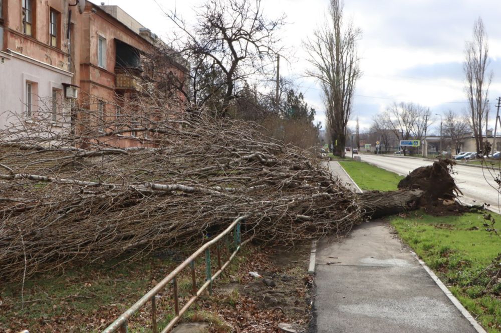 ������� �������: ������������ ���������� ����������� ��������� ��������