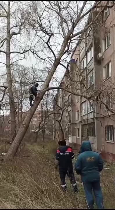 ������������� �� �������� �������� ��������� ����������� �������� ����� � �. �������� ���