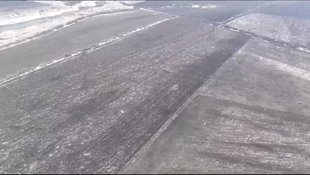 ������ �������: ��������� �����������, ����� ����������� ����� Leopard 1A5