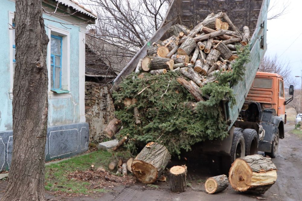 ������� �������: � ���� ������ �� ������ ������� � ��������� ��������� �� ��� ���������� ���������� ������� �������