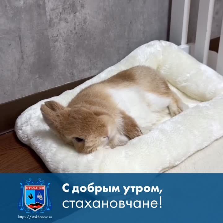 ������ ����, �����!. � ������ ���� ����! ����� ������� ����� ������ � ������ ��� ������� ��������� � � Telegram #�������� #�������_���������