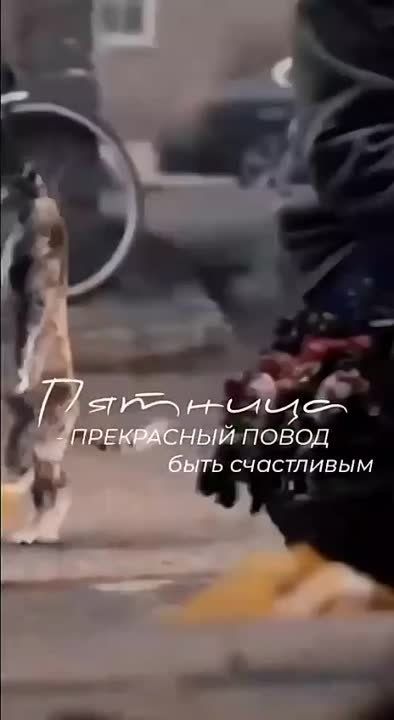 ������ ������, ��������� ����! 1 ������� - ������ ���� ����! ��������� ���� � ������� �����������)