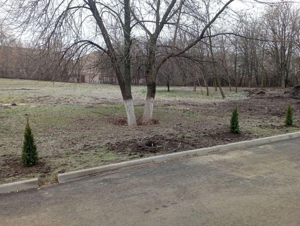 ������� �����: � �������� ���� ���������� ������ �� ��������������� ������������ �����������: ��������� ����������� ���������� � ��������� ��������