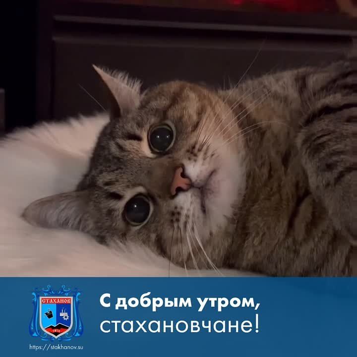 ������ ����, ��������. � ������� ������� �������! ��� ������� ��������� � � Telegram #�������� #�������_���������