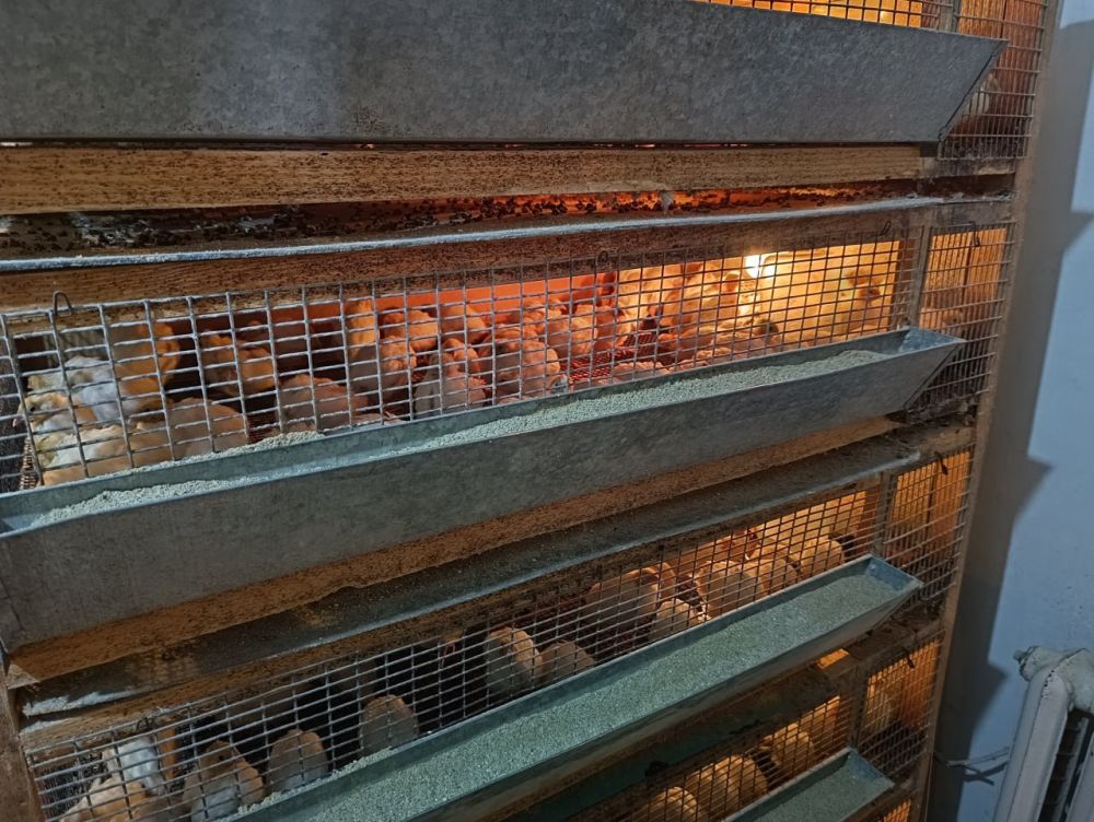 ������ �������: �� ����� ����� ����� ��������� ����� 20 ��� ���������� ������������� ����������� ���