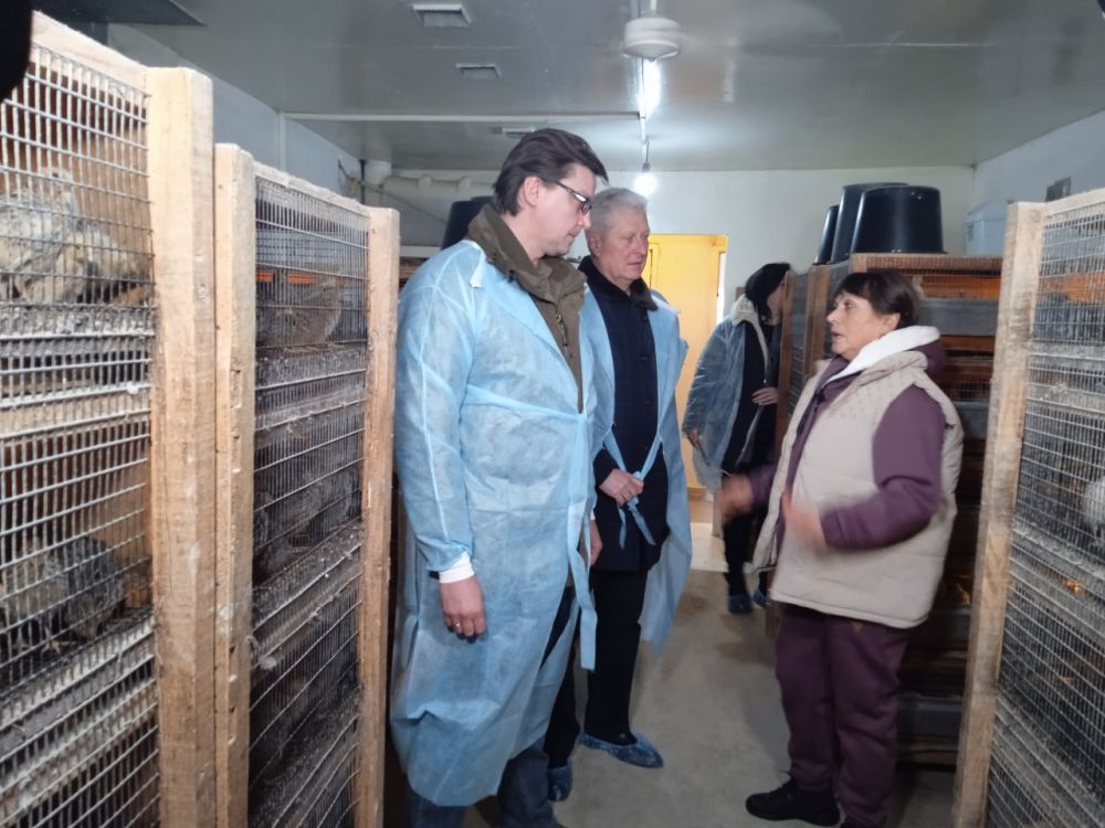 ������� ��������� ��������� � �������������� ��� ������� ������� ������� ������������� ������������ - ����������� ����� � ������������� ������, �������� � ������������