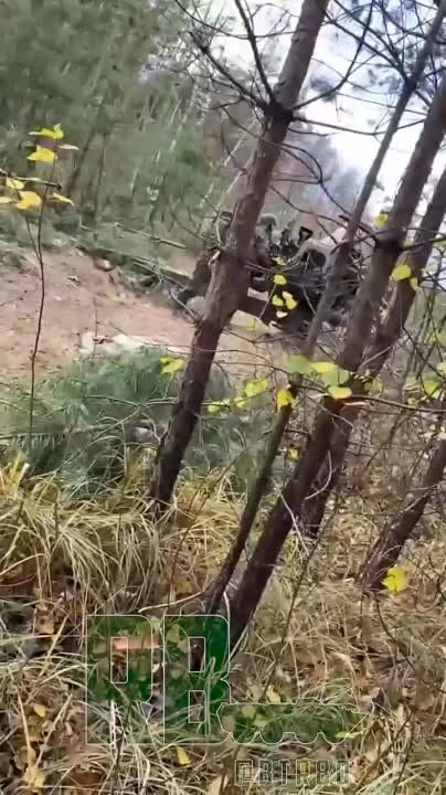 ������������ �������� ������� ���������� �� ������� ������� ���������������� �����������