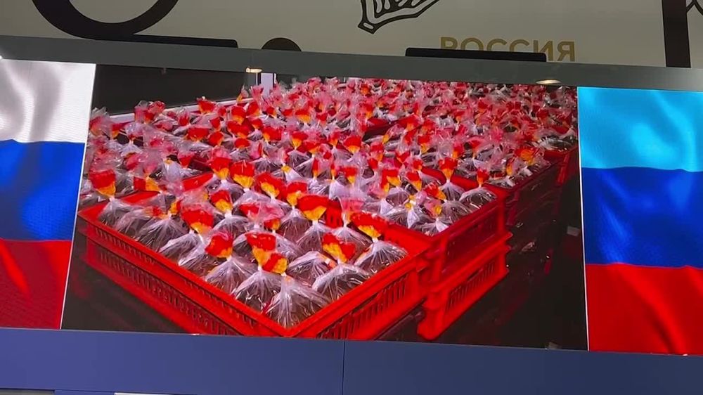 �������� ��������: ������ �������� � ��������� ��������� �������� ���������� �� ����