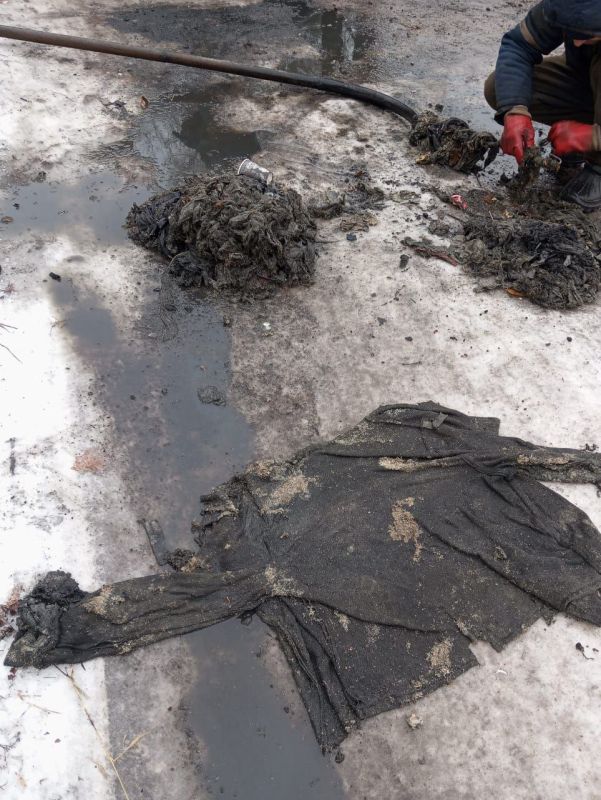 ����� ���� �� ����� ������������� � ������ ����� 2, 4, 6, 7, 11 ������������ ��������������� ������������ ��� ��� ������������ ����������� ������ �� ��������� �����������