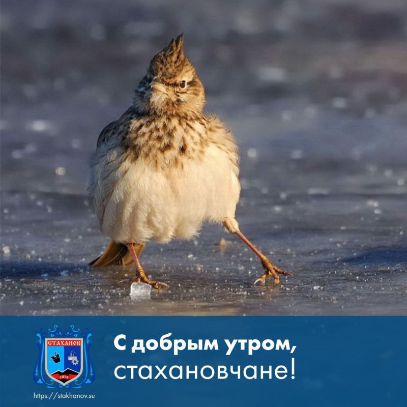 � ������ �����, ��������. ������ ��������� �� �������, ��� �������! ��� ������� ��������� � � Telegram #�������� #�������_���������
