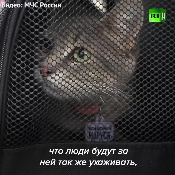 ����������� ������� �������� ������ ��������