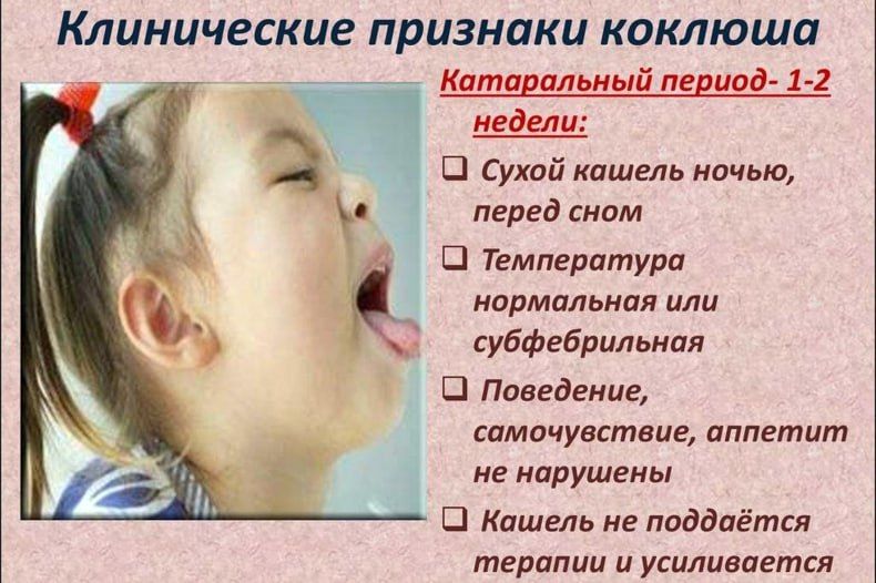 ������������ ��������: ������