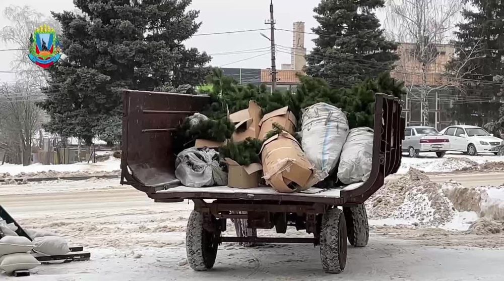 ����� �����: � ������ �������� ��������� � ��������� ���������� ����