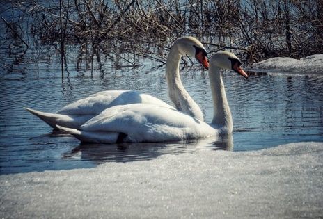 ����� �������: � ��������� �������� ��� �� 14 �������