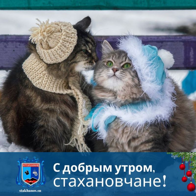 ������ ����, ��������. ����� �������� ����� �� ����� � �������� ��� ������� ��������� � � Telegram #�������� #�������_���������