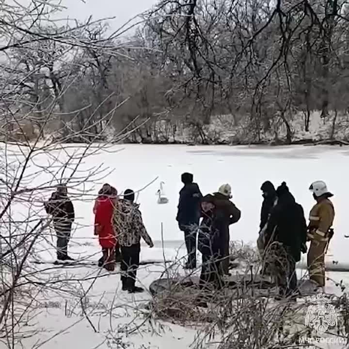 ����������� ������ ������������ ��������