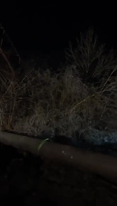����������� ������ � ���� �������������� ����������������