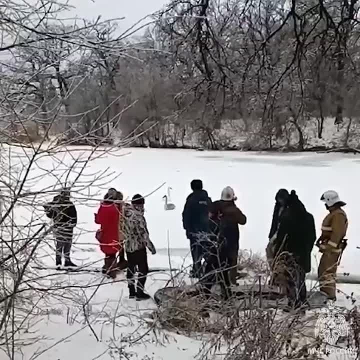 ����� ������� ������ �� �������� ����� � ���. ����� �������� ������������ �� ������� ������ �������� ��� �����