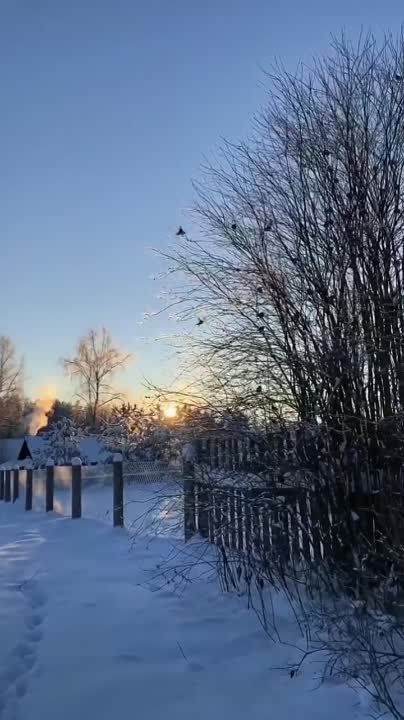 ����� �� ������������ �������