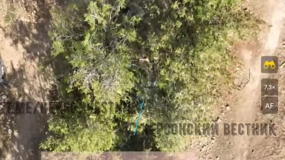 ��������� �� ����� � ����� ����������� � ���������� ������� ���������� �������