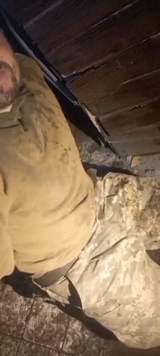 ���������� ���������� ����������� ��������������
