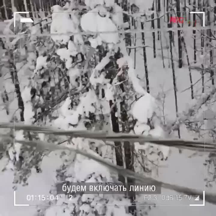 ��-�� ��������� �������� ���������� � ��������� ������� (�����, ������ ����, ��������� ������� �����) ������������� ����� ���������� ������������ � �� ������ �� 10:00 (���) ��� ���������������� �������� 5,5 ���. ���