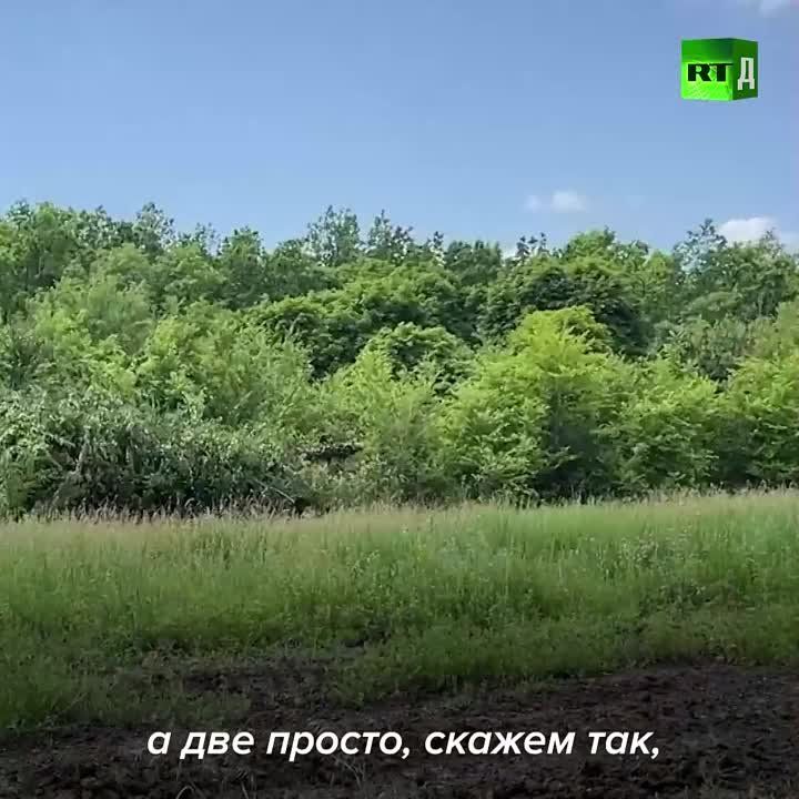 ����������� ������ �����, � ��� ������ �� ��������� ������� � ������� �� ���