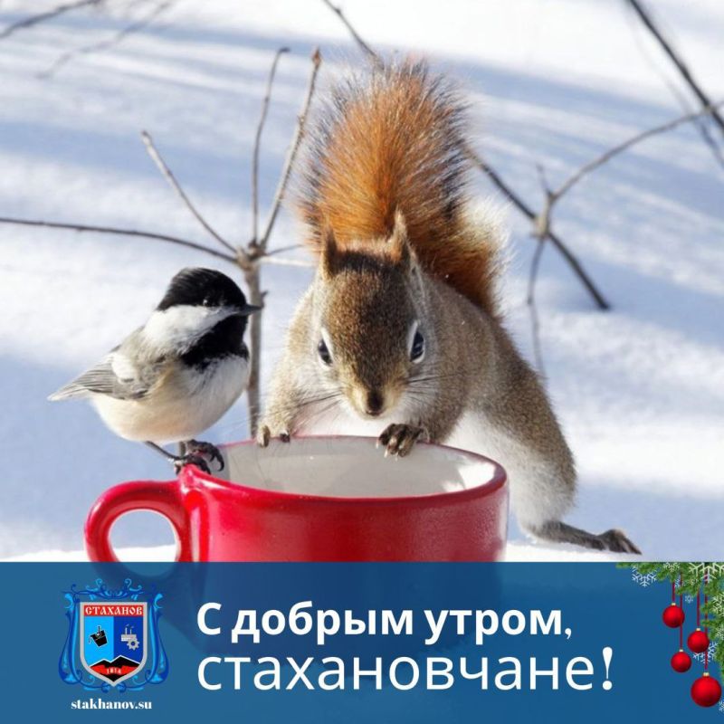 � ������ �����, ��������. ��� ������� ��������� � � Telegram