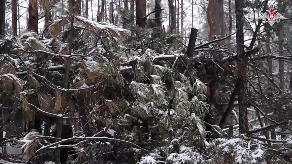 �������� ���������: ����������� ��� ������� ������ ����������� ������� ��� � ������������ �����������