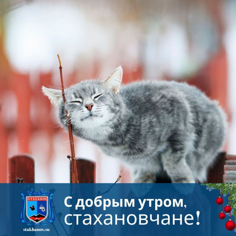 ���� ������� ������, � ���������� ���������