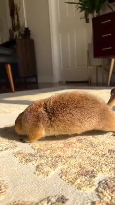 ������� ���������� ����. ������� ��������! �������������� �� �����