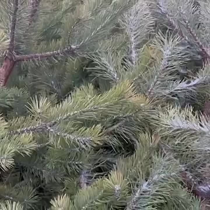��������� �������������� ������� � ����� �������