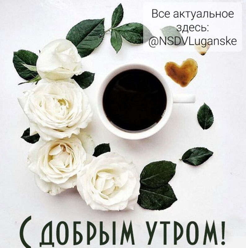 ������ ����, �������!. � �������� � ��������� �������� ���������� �������� ������ ����������� ���� ����. ���� ��������� ������� ����� �� ������, ������� ������� �������� � �����