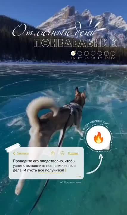 �������������� �� �����