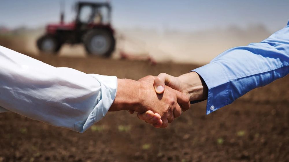 ����� ��������� ������������ �������� ���������� � 2024 ���� �������� ����� 1,5 ���� ���., ��������� �� �������� � ���� ������������� ������� ��������� ��������� � �������������� ��� ������� �������