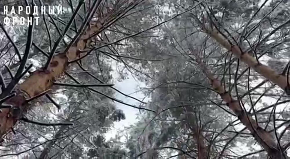 � �������������� �� ��� ����� ������� ���� �� ���������