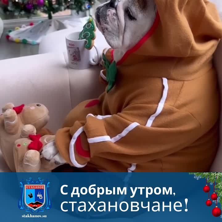 ������ ����, ��������. ���������� ���������� �����������! ��, ��� ���� ��� ������� ��������� � � Telegram