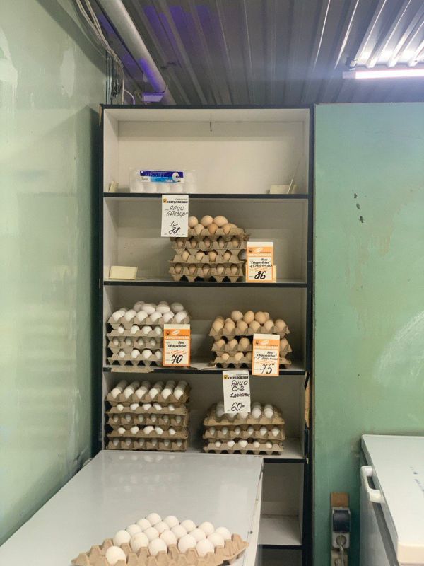 ������ ����������: ������, ������. ������������ �������������� ������. ��� ��������������. ���� ��������, �������� - 86 ������/�������