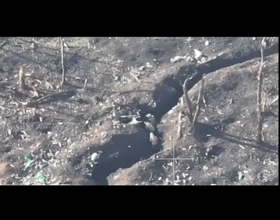 ����� �����: ���������� �������� �����������, ���������� ���������� � �������� �������