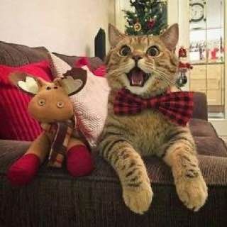 ������ ����! ������� �������! ��������� ������� ���� � ���� ����! ������� �������� ��� ����������� � �������!